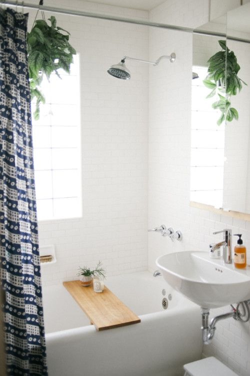 Shower plants Shower plants